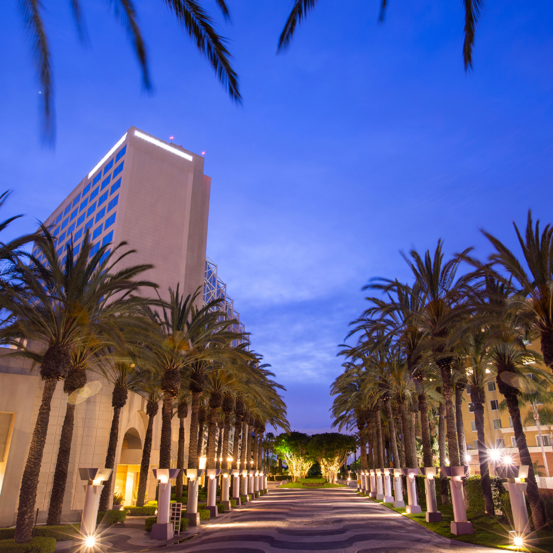 anaheim pic