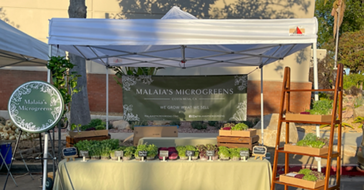 Case Study — From Backyard to Business Center, Malaia's Microgreens